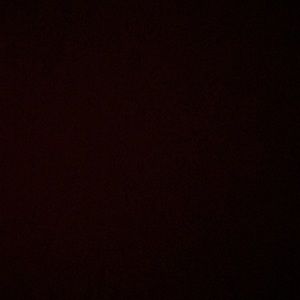 Meet your Posher, Ashlyn